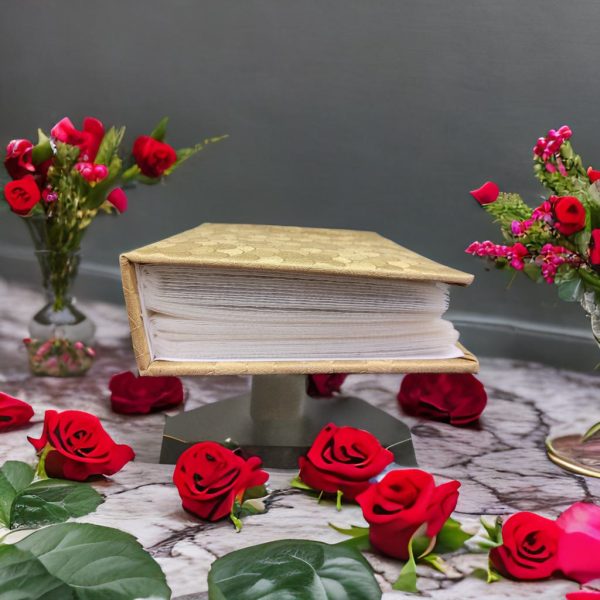 آلبوم عکس - Image 7